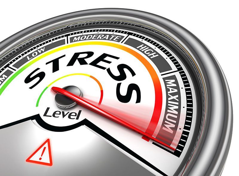 What Causes Stress New York NY 10009